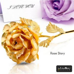 گل رز طلایی rose story